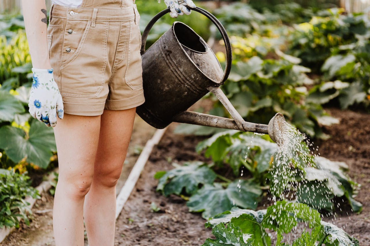 Hoe lang moet je jouw tuin sproeien? - Doika