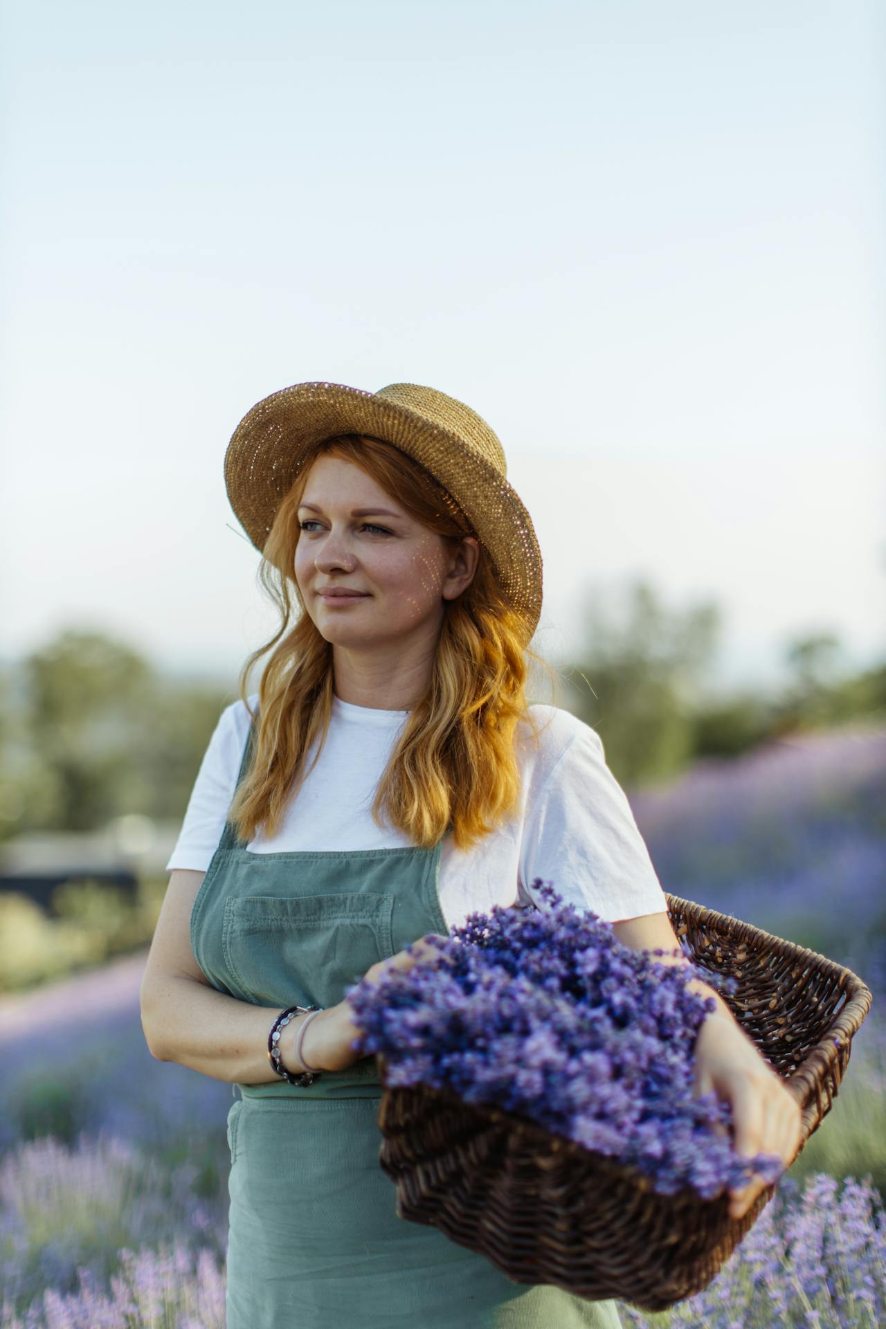 Wanneer lavendel planten? Beste seizoen en tips voor groei - Doika