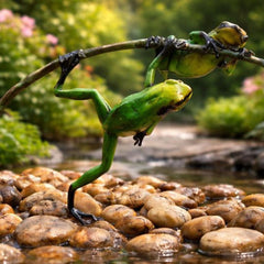 Bronzen Beeld Kikker