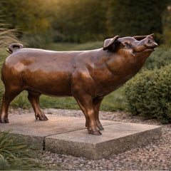 Bronzen varken - Doika