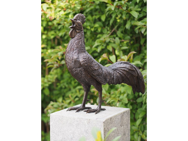 Bronzen beeld Haan 50x25x53cm