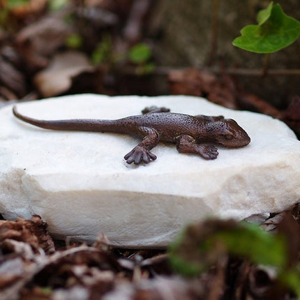 Bronzen beeld Hagedis op steen 6x10x17cm