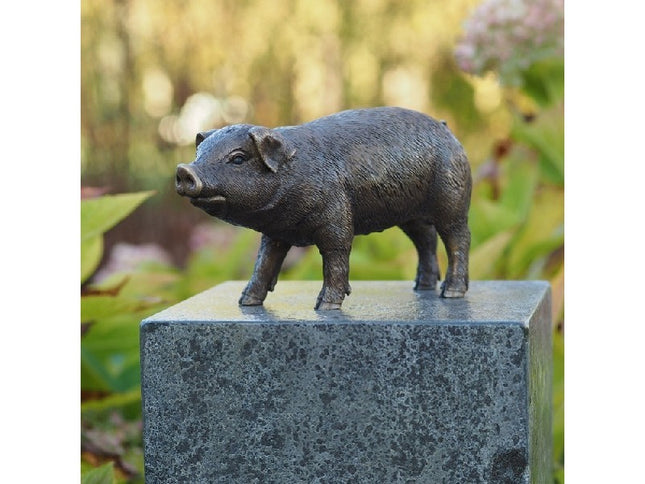 Bronzen beeld Varken 12x8x25cm