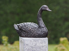 Estatua de bronce Cisne 16x9x22cm