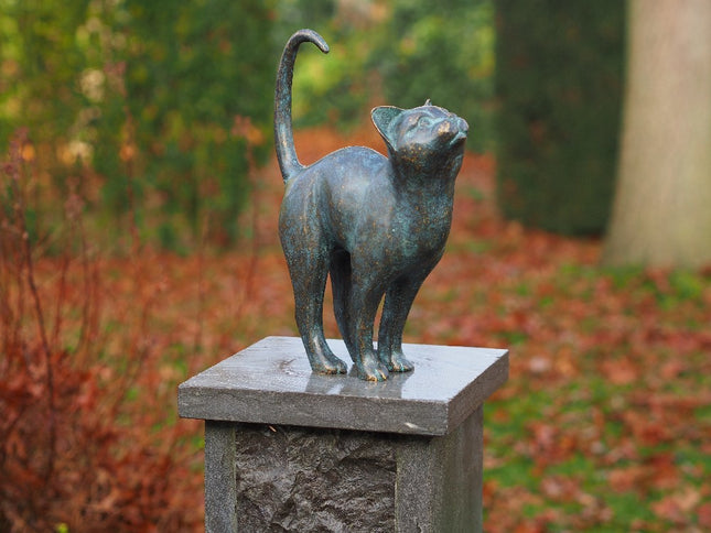Bronzen beeld Kat 31x8x24cm