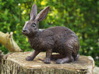 Bronzen beeld Konijn  28x16x34cm