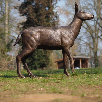 Bronzen beeld Vrouwelijk hert 124x34x130cm