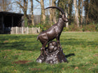 Bronzen beeld Berggeit naast rots 145x55x90cm