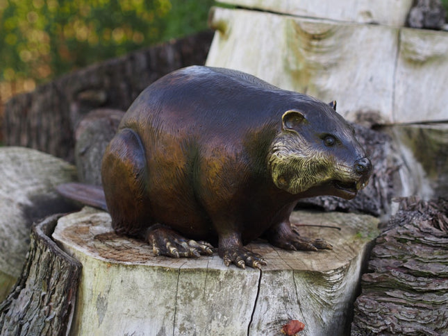 Bronzen beeld Bever 22x25x70cm 8kg
