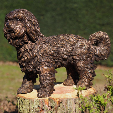Bronzen beeld Labradoodle puppy 42x22x58cm