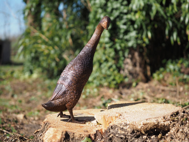 Bronzen beeld Eend kop naar beneden 28x21x58cm