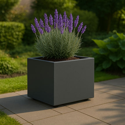 Polyester planter 60x60x60 cm - Black-gray