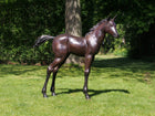 Bronzen beeld Veulen 27x127x115cm 32kg
