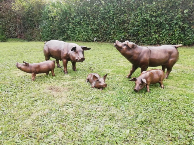 Bronzen beeld Varken 67x40x130cm 45kg