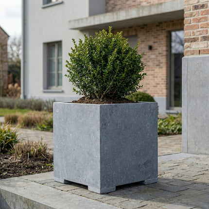 Vierkante arduinen plantenbak met bodem 60x60x62 cm - Modern