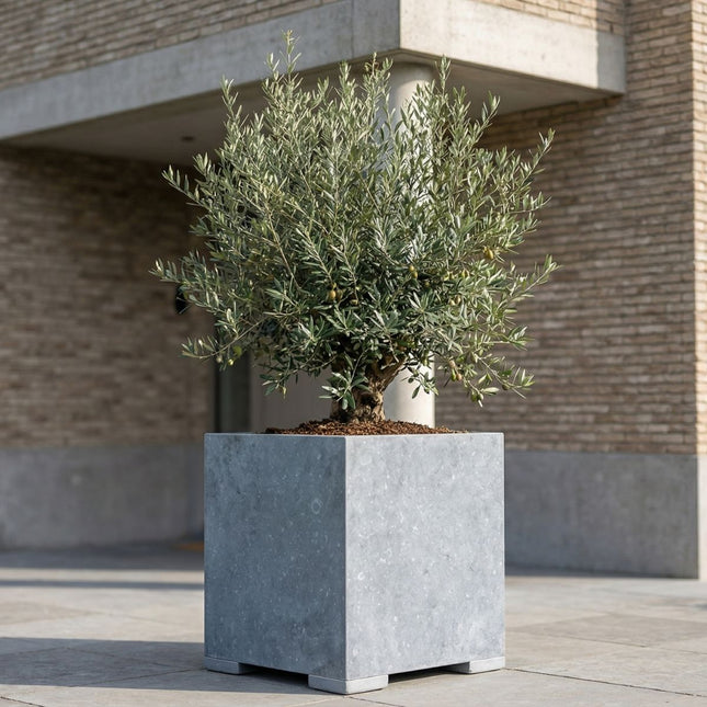 Vierkante arduinen plantenbak met bodem 70x70x72 cm - Modern