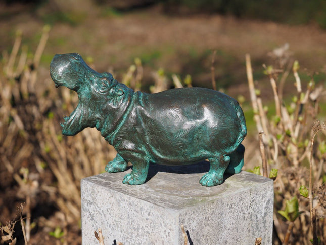 Bronzen beeld Nijlpaard 25x13x36cm - Doika - Bronzen beeld - Doika - 5410807011645 - BS1164V