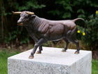 Bronzen beeld Stier 27x17x49cm - Doika - Bronzen beeld - Doika - 5410807013076 - AN1307BR-B