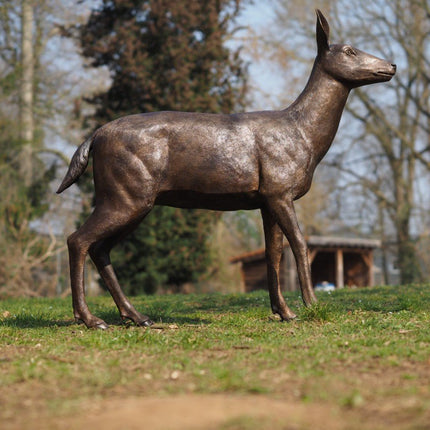 Bronzen beeld Vrouwelijk hert 124x34x130cm - Doika - Bronzen beeld - Doika - 5410807015056 - B1505