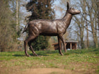Bronzen beeld Vrouwelijk hert 124x34x130cm - Doika - Bronzen beeld - Doika - 5410807015056 - B1505