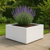 GARDRA Polyester plantenbak 100x100x40 cm - Zuiver Wit (RAL 9010) - Doika - Plantenbak - GARDRA -  - DOIKA-AP-06.3-RAL-9010