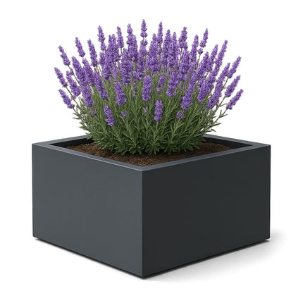 GARDRA Polyester plantenbak 120x120x60 cm - Zwartgrijs (RAL 7021) - Doika - Plantenbak - GARDRA -  - DOIKA-AP-07.3-RAL-7021