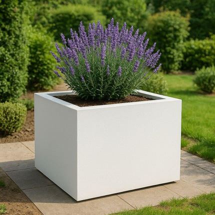 GARDRA Polyester plantenbak 140x140x100 cm - Zuiver Wit (RAL 9010) - Doika - Plantenbak - GARDRA -  - DOIKA-AP-11-RAL-9010