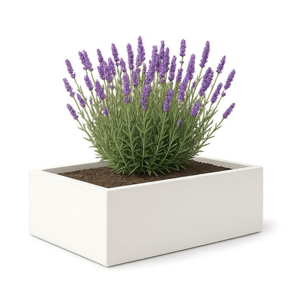 GARDRA Polyester plantenbak 180x88x32 cm - Zuiver Wit (RAL 9010) - Doika - Plantenbak - GARDRA -  - DOIKA-BP-12-RAL-9010