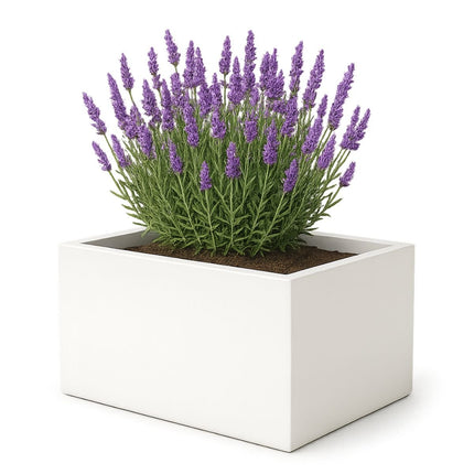 GARDRA Polyester plantenbak 60x40x40 cm - Zuiver Wit (RAL 9010) - Doika - Plantenbak - GARDRA -  - DOIKA-BP-41-RAL-9010
