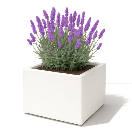 GARDRA Polyester plantenbak 60x60x40 cm - Zuiver Wit (RAL 9010) - Doika - Plantenbak - GARDRA -  - DOIKA-AP-03.1-RAL-9010