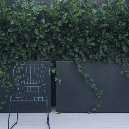 Adezz Buxus polyester plantenbak 100x40x40 cm - Doika - Plantenbak - Adezz - PB25.3