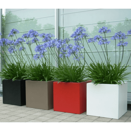 Adezz Buxus polyester plantenbak 40x40x40 cm - Doika - Plantenbak - Adezz - PB10